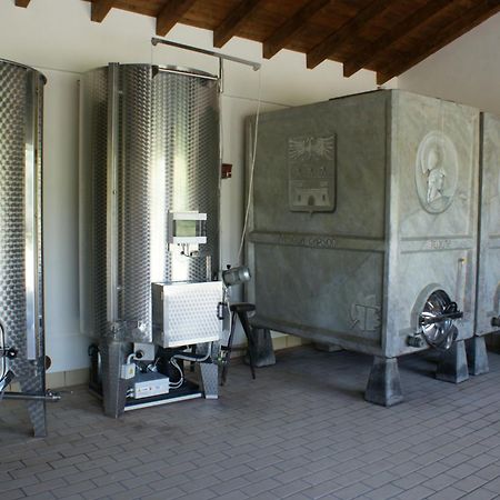 Tenuta Terensano 몬리엘 외부 사진