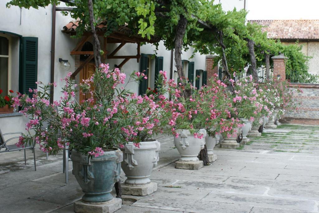Tenuta Terensano 몬리엘 외부 사진