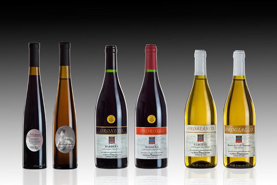 Tenuta Terensano 몬리엘 외부 사진